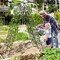 Costway 71" Tall Metal Garden Trellis for Climbing Plants 2/4 Pack Fence Panels Retro